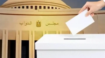 السن القانونية.. تعرف على تفاصيل مشاركة الناخبين وجدول التصويت لمراحل انتخابات مجلس النواب في المحافظات المختلفة